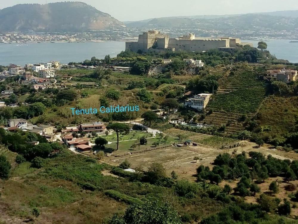 Tenuta Calidarius Baia  エクステリア 写真